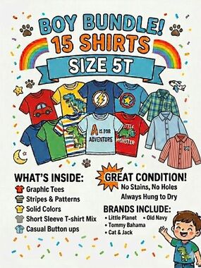 Boy Shirt Bundle - 15 Size 5T Shirts